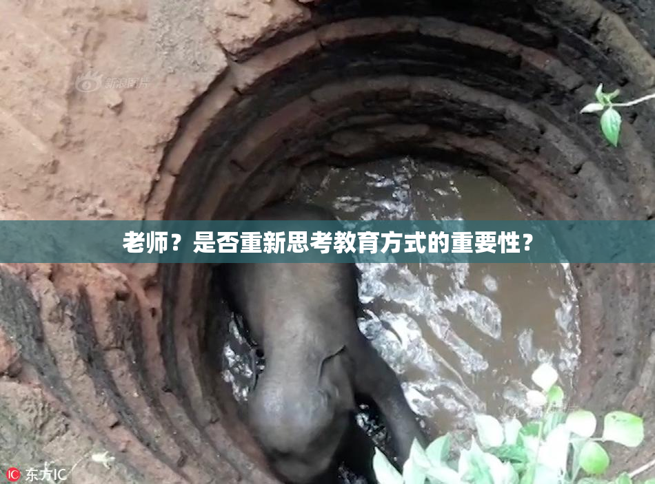 老师？是否重新思考教育方式的重要性？