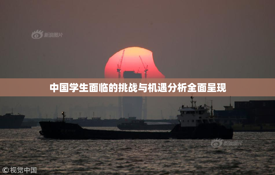 中国学生面临的挑战与机遇分析全面呈现