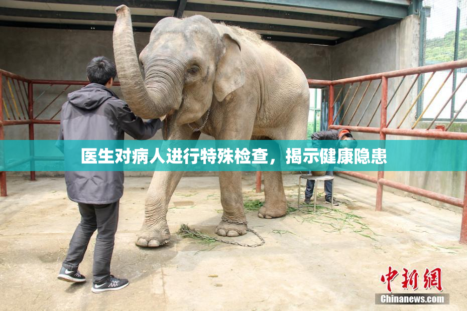 医生对病人进行特殊检查，揭示健康隐患