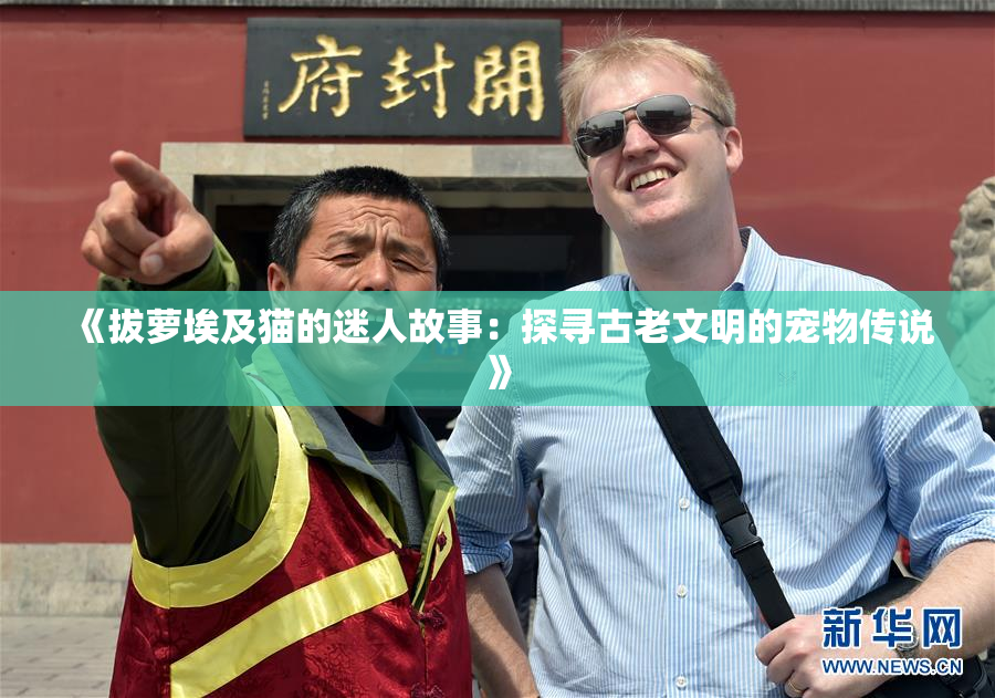 《拔萝埃及猫的迷人故事：探寻古老文明的宠物传说》