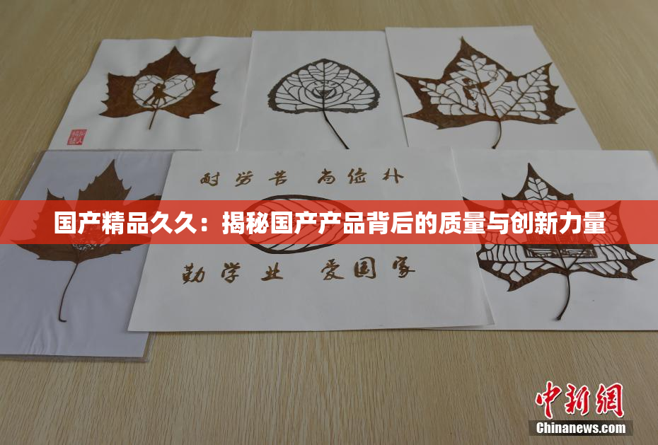 国产精品久久：揭秘国产产品背后的质量与创新力量