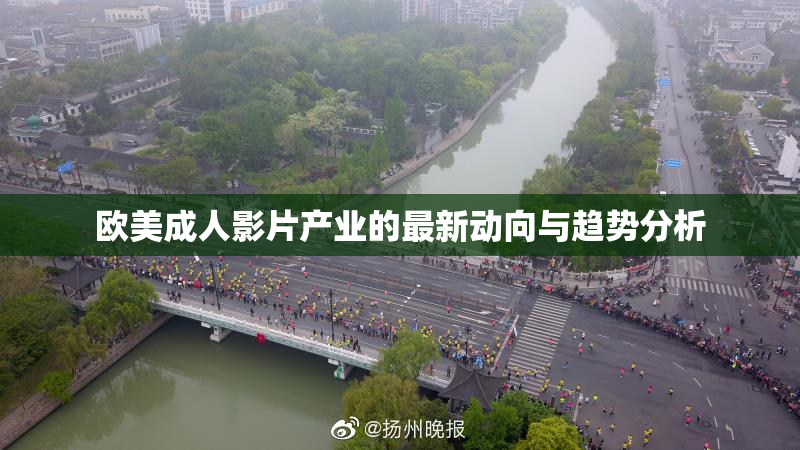 欧美成人影片产业的最新动向与趋势分析