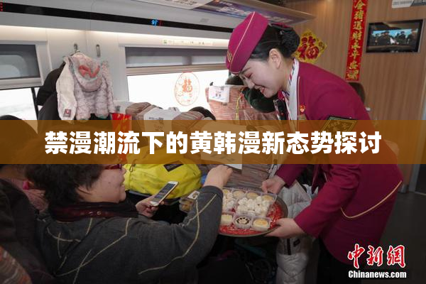 禁漫潮流下的黄韩漫新态势探讨