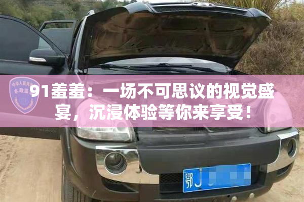 91羞羞：一场不可思议的视觉盛宴，沉浸体验等你来享受！