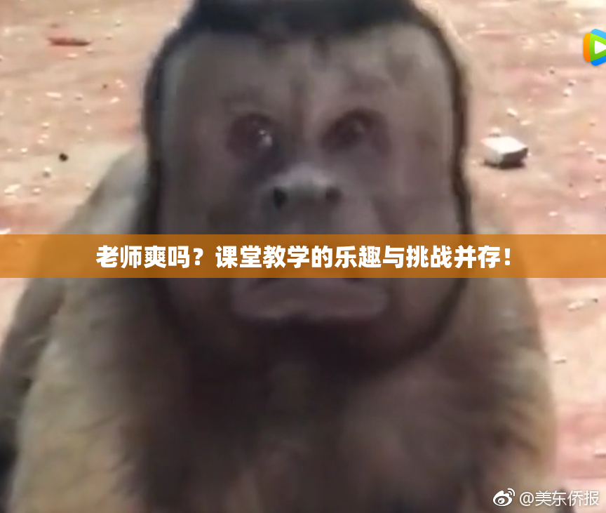 老师爽吗？课堂教学的乐趣与挑战并存！