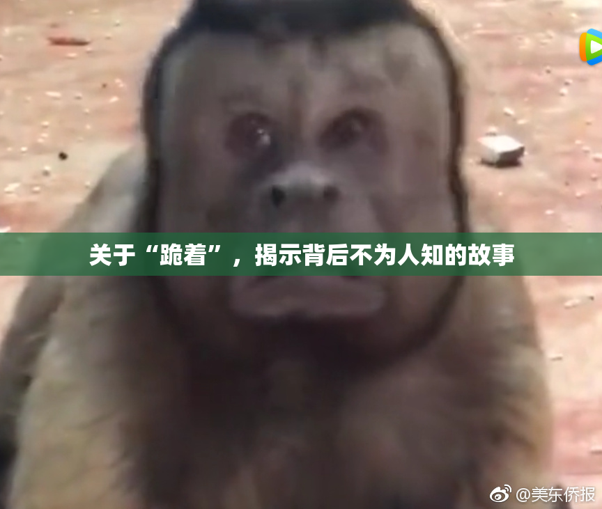 关于“跪着”，揭示背后不为人知的故事