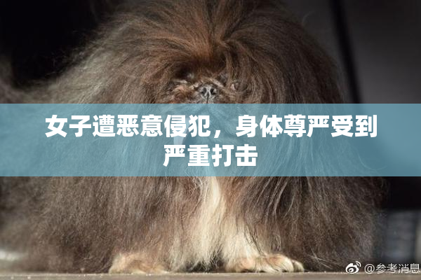女子遭恶意侵犯，身体尊严受到严重打击