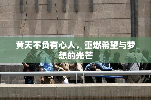 黄天不负有心人，重燃希望与梦想的光芒
