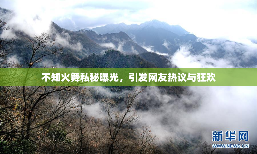 不知火舞私秘曝光，引发网友热议与狂欢