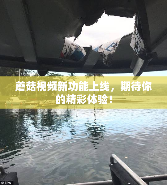 蘑菇视频新功能上线，期待你的精彩体验！