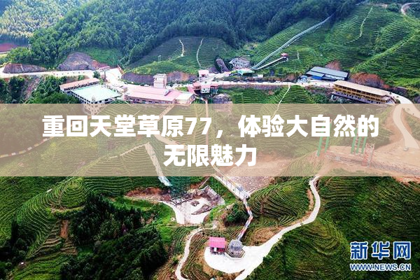 重回天堂草原77，体验大自然的无限魅力