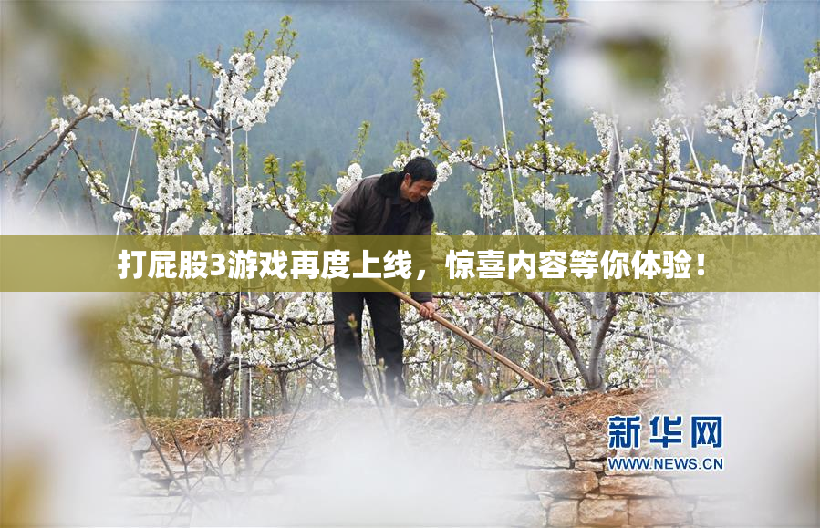 打屁股3游戏再度上线，惊喜内容等你体验！