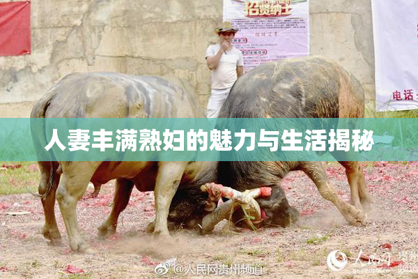 人妻丰满熟妇的魅力与生活揭秘