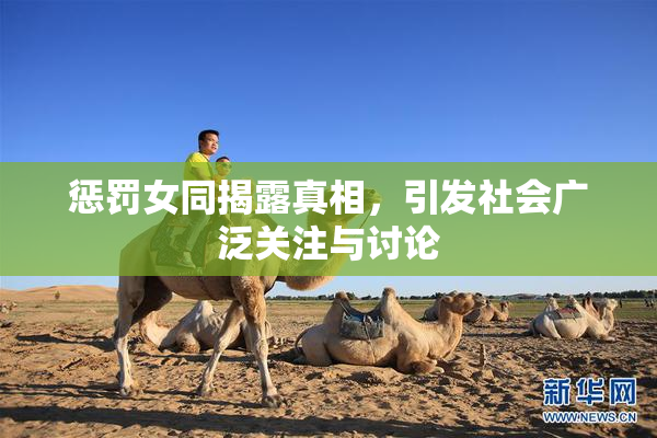 惩罚女同揭露真相，引发社会广泛关注与讨论