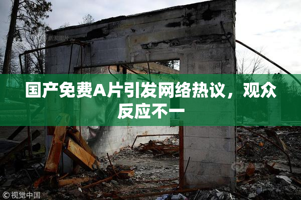 国产免费A片引发网络热议，观众反应不一