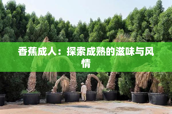 香蕉成人：探索成熟的滋味与风情