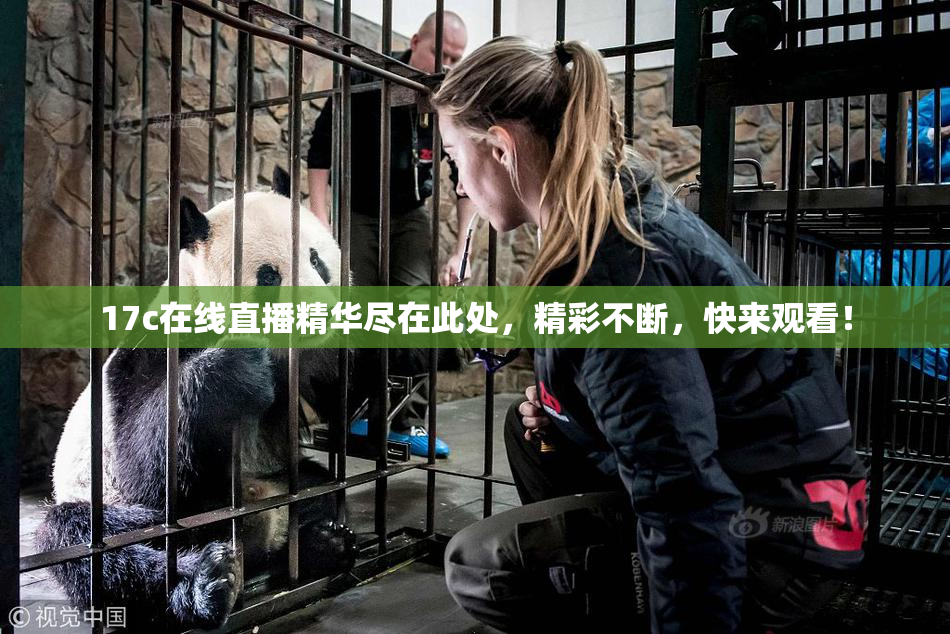 17c在线直播精华尽在此处，精彩不断，快来观看！
