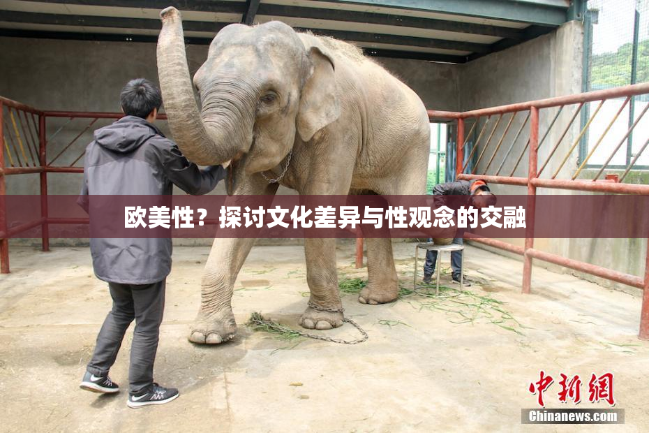 欧美性？探讨文化差异与性观念的交融