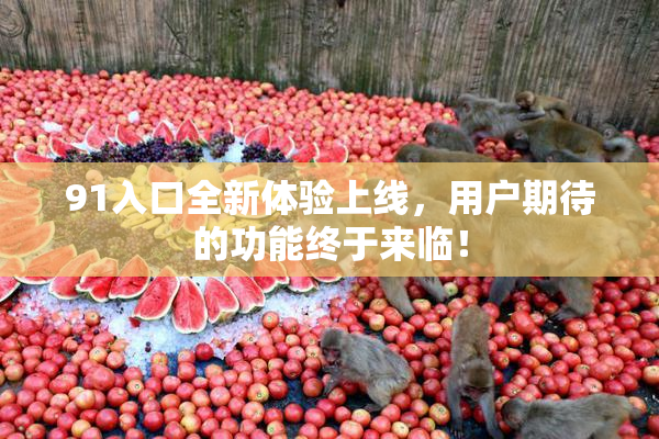 91入口全新体验上线，用户期待的功能终于来临！