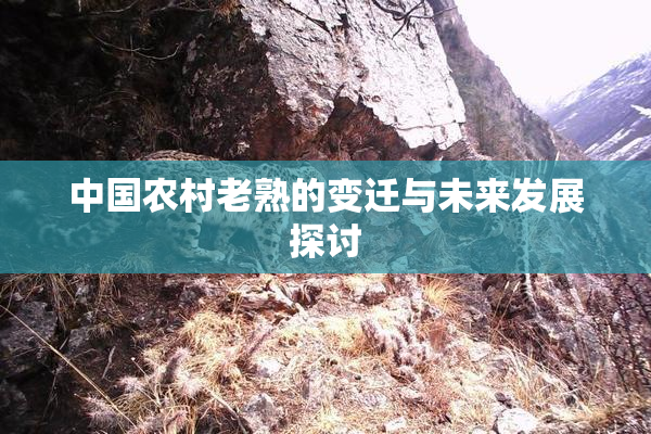 中国农村老熟的变迁与未来发展探讨