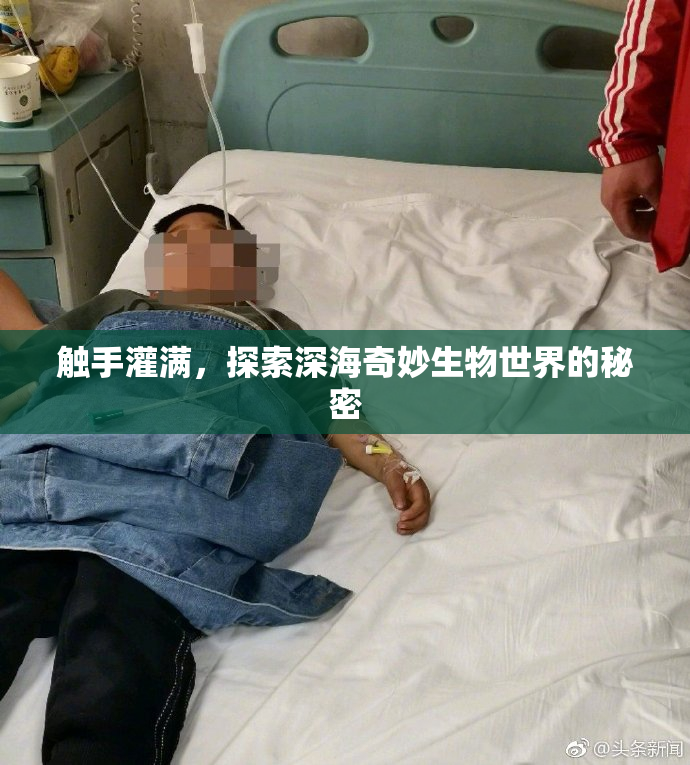 触手灌满，探索深海奇妙生物世界的秘密