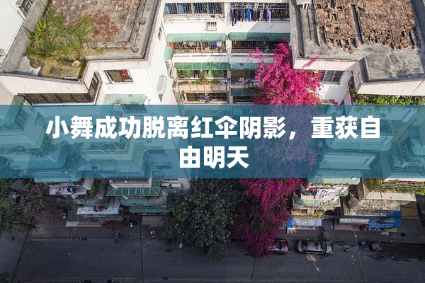 小舞成功脱离红伞阴影，重获自由明天