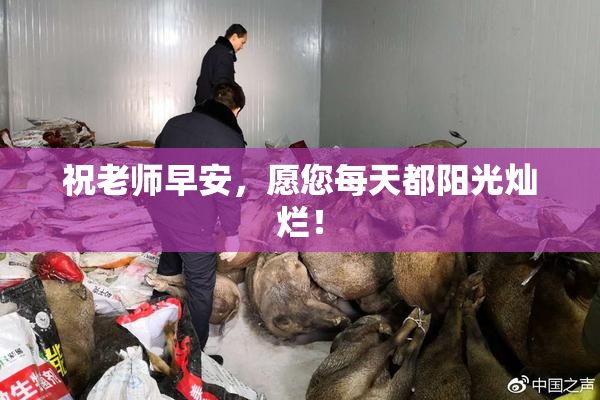 祝老师早安，愿您每天都阳光灿烂！