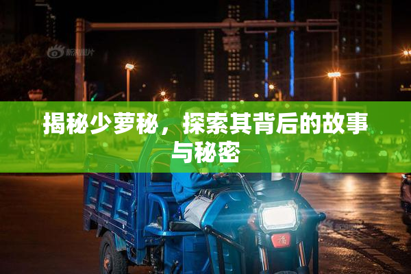 揭秘少萝秘，探索其背后的故事与秘密