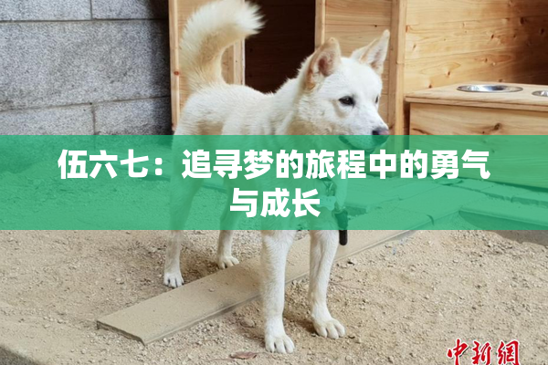 伍六七：追寻梦的旅程中的勇气与成长