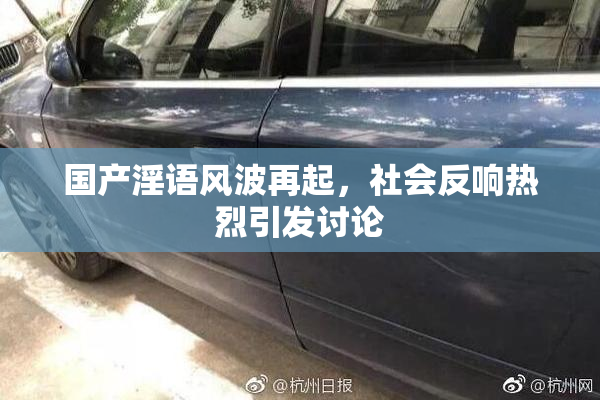 国产淫语风波再起，社会反响热烈引发讨论