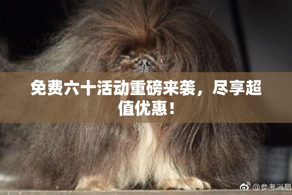 免费六十活动重磅来袭，尽享超值优惠！