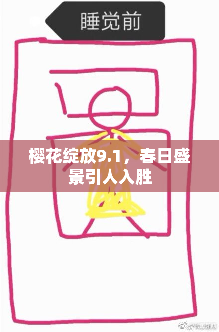 樱花绽放9.1，春日盛景引人入胜