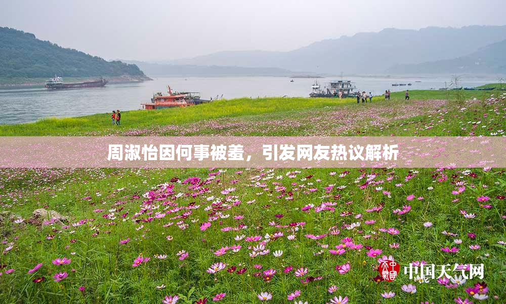 周淑怡因何事被羞，引发网友热议解析