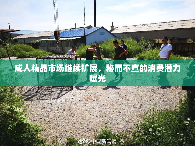 成人精品市场继续扩展，秘而不宣的消费潜力曝光