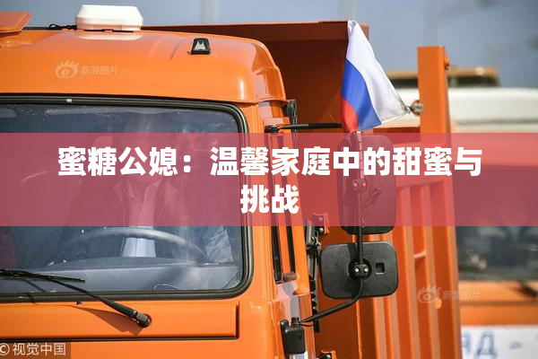 蜜糖公媳：温馨家庭中的甜蜜与挑战