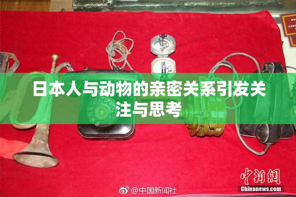日本人与动物的亲密关系引发关注与思考