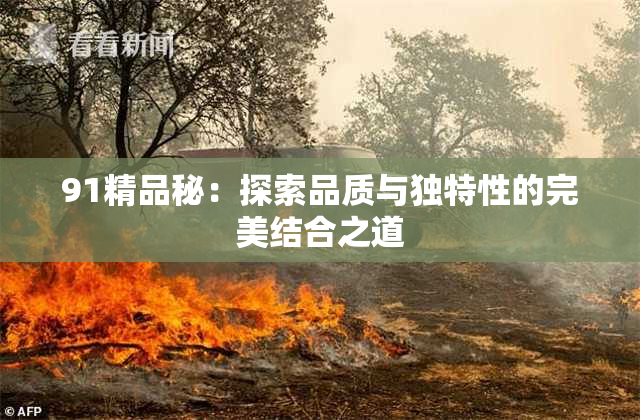 91精品秘：探索品质与独特性的完美结合之道