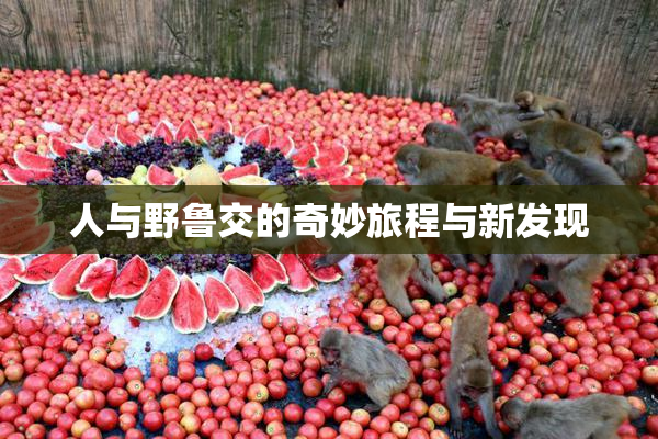 人与野鲁交的奇妙旅程与新发现