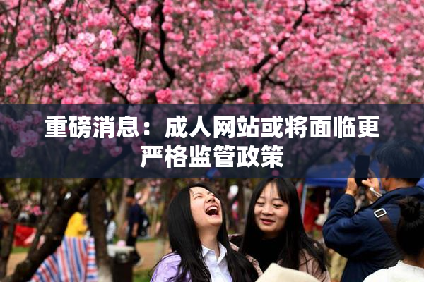 重磅消息：成人网站或将面临更严格监管政策