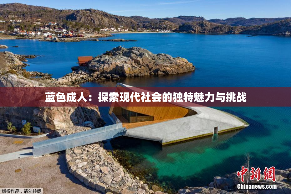 蓝色成人：探索现代社会的独特魅力与挑战