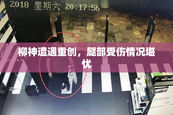 柳神遭遇重创，腿部受伤情况堪忧