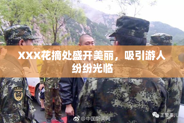 XXX花摘处盛开美丽，吸引游人纷纷光临