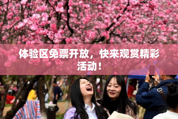 体验区免票开放，快来观赏精彩活动！