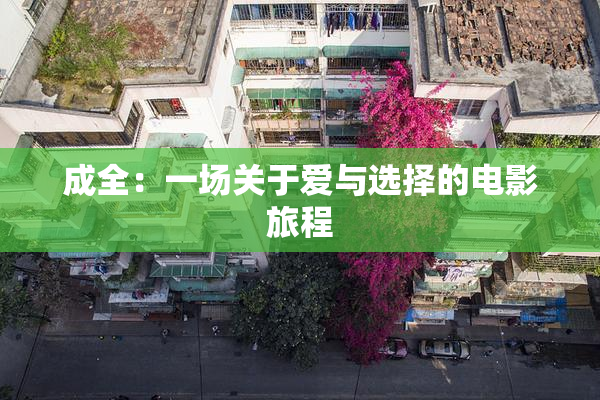 成全：一场关于爱与选择的电影旅程