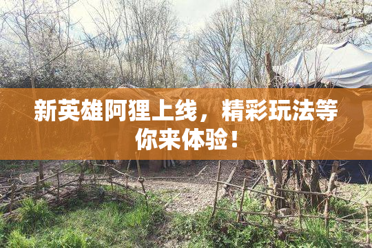 新英雄阿狸上线，精彩玩法等你来体验！