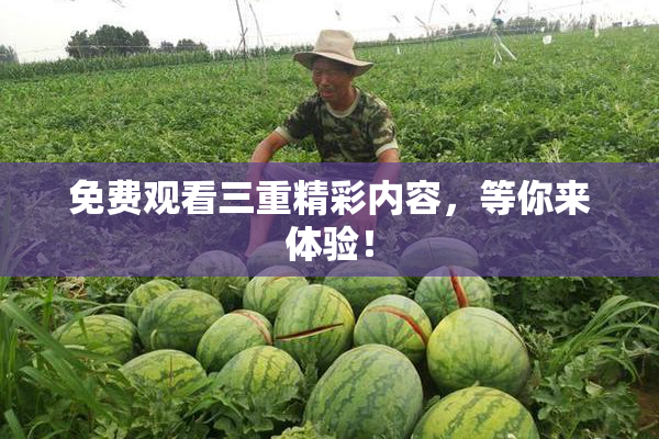 免费观看三重精彩内容，等你来体验！
