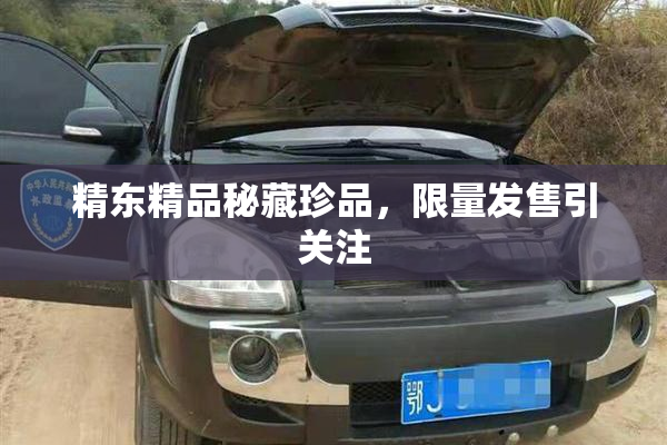 精东精品秘藏珍品，限量发售引关注