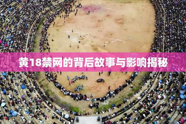 黄18禁网的背后故事与影响揭秘