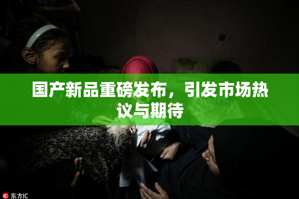 国产新品重磅发布，引发市场热议与期待