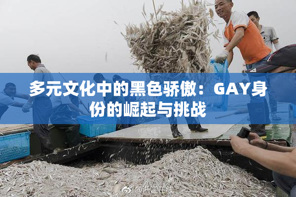 多元文化中的黑色骄傲：GAY身份的崛起与挑战